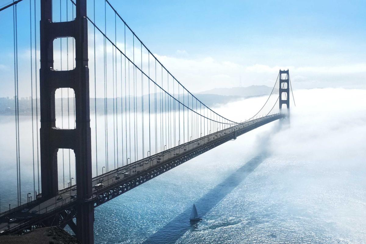 수집 항목 및 이용 목적